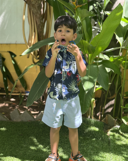 Tropic Treasure Shirt and Shorts